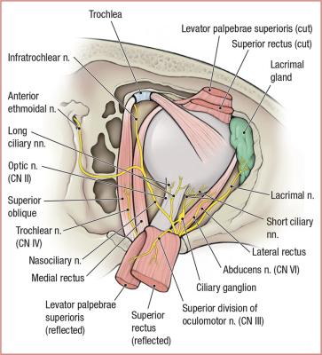 thumbs/Deep Orbit.jpeg.jpg